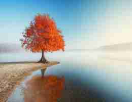 html table美‍化​